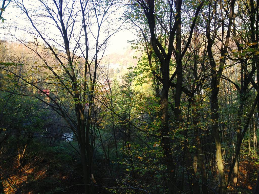 Osrodek Kwaskowa Villa Kazimierz Dolny Esterno foto