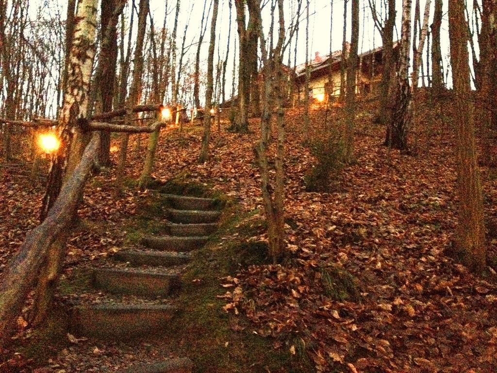 Osrodek Kwaskowa Villa Kazimierz Dolny Esterno foto