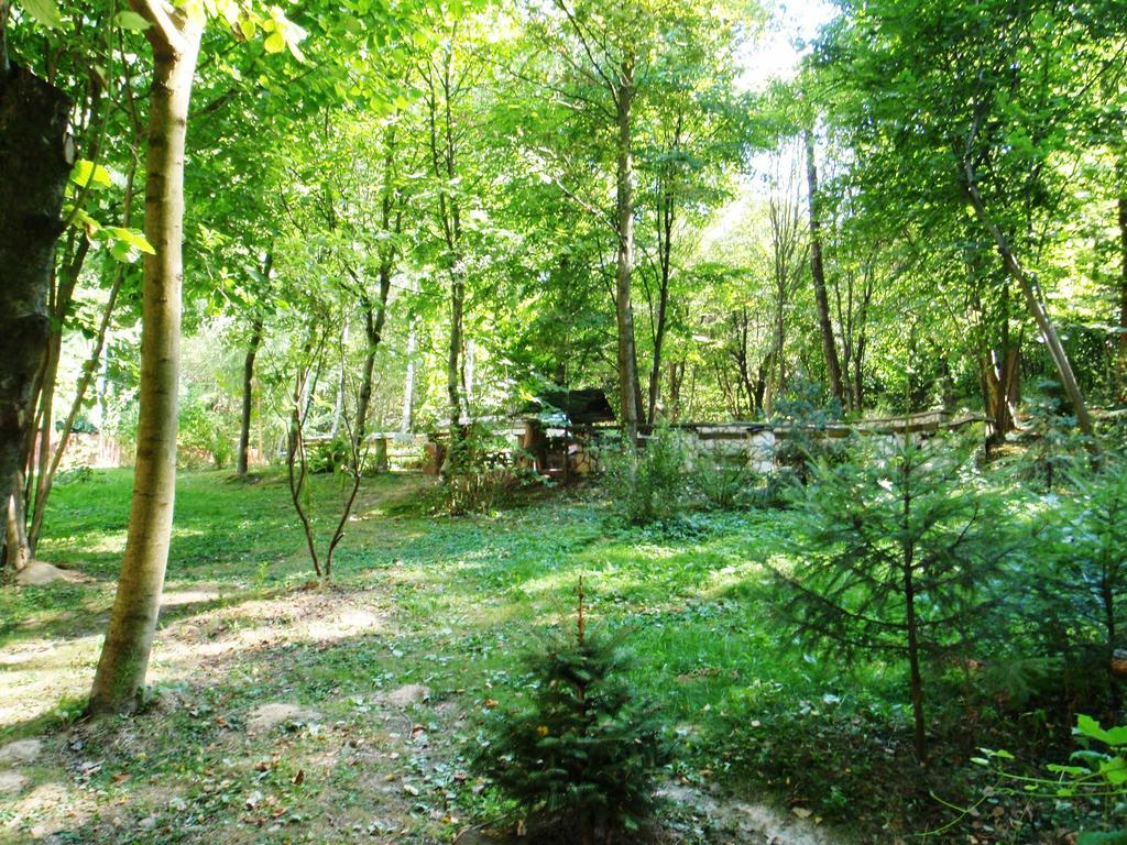 Osrodek Kwaskowa Villa Kazimierz Dolny Esterno foto