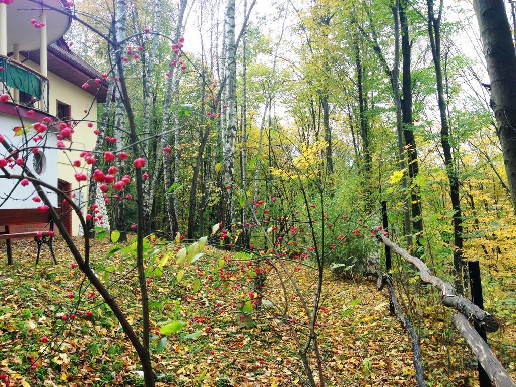 Osrodek Kwaskowa Villa Kazimierz Dolny Esterno foto