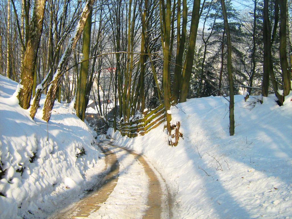 Osrodek Kwaskowa Villa Kazimierz Dolny Esterno foto