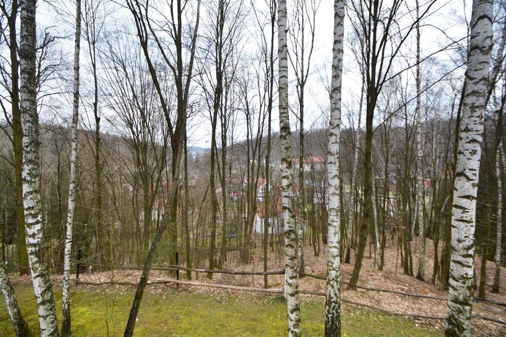 Osrodek Kwaskowa Villa Kazimierz Dolny Esterno foto